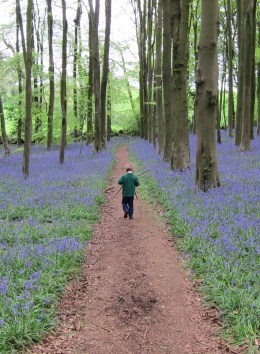 cropped-img_3016.jpg
